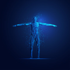 scan of human anatomy